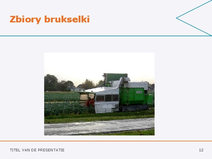 Zbiory brukselki TITEL VAN DE PRESENTATIE 12 