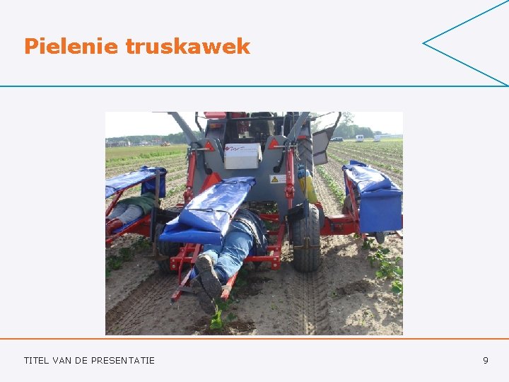 Pielenie truskawek TITEL VAN DE PRESENTATIE 9 