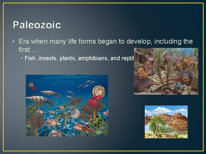Paleozoic • Era when many life forms began to develop, including the first…. •