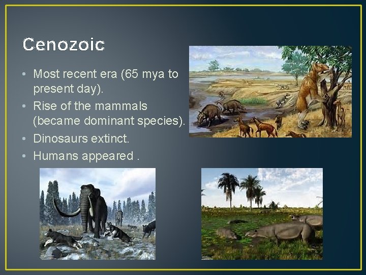 Cenozoic • Most recent era (65 mya to present day). • Rise of the