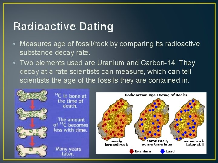 Radioactive Dating • Measures age of fossil/rock by comparing its radioactive substance decay rate.