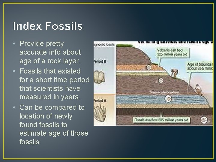 Index Fossils • Provide pretty accurate info about age of a rock layer. •