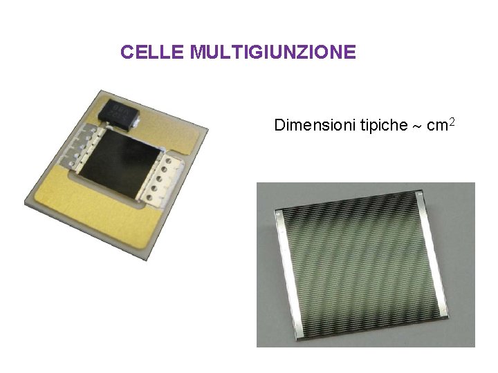 CELLE MULTIGIUNZIONE Dimensioni tipiche cm 2 