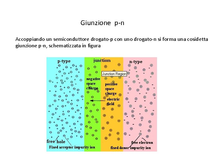 Giunzione p-n Accoppiando un semiconduttore drogato-p con uno drogato-n si forma una cosidetta giunzione