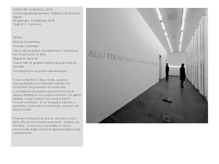 FOREVER OVEHEAD, 2010 mostra personale presso: Galleria Lia Rumma, Napoli 24 gennaio- 24 febbraio