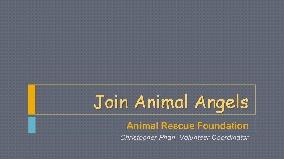Join Animal Angels Animal Rescue Foundation Christopher Phan, Volunteer Coordinator 