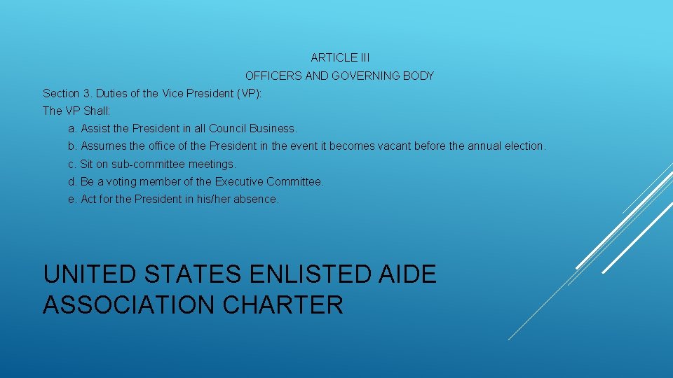 ARTICLE III OFFICERS AND GOVERNING BODY Section 3. Duties of the Vice President (VP):