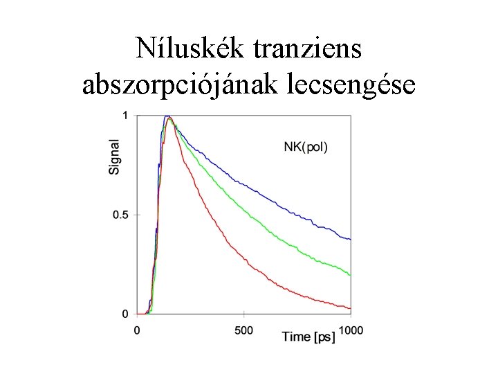 Níluskék tranziens abszorpciójának lecsengése 