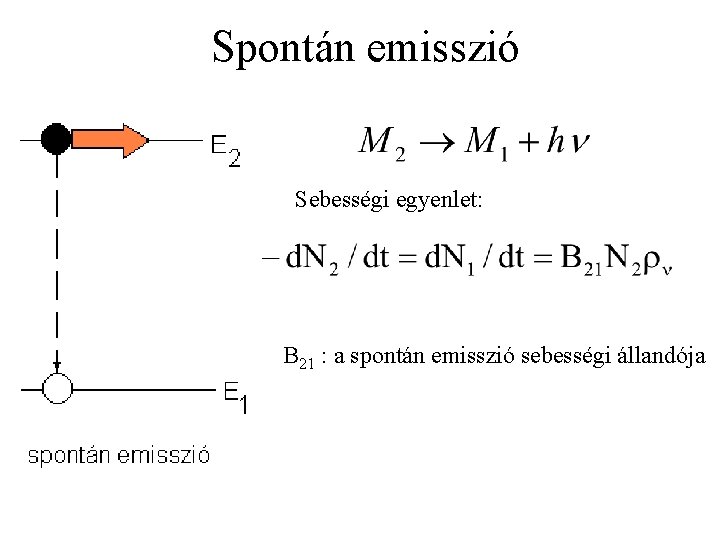 Spontán emisszió Sebességi egyenlet: B 21 : a spontán emisszió sebességi állandója 