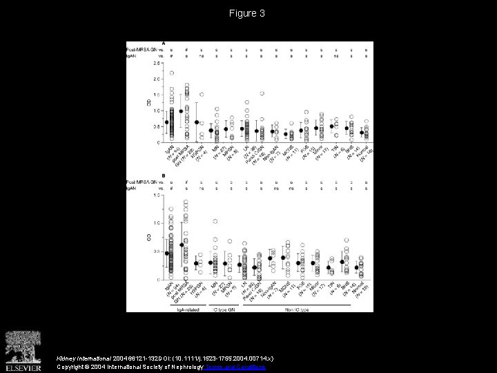 Figure 3 Kidney International 2004 66121 -132 DOI: (10. 1111/j. 1523 -1755. 2004. 00714.