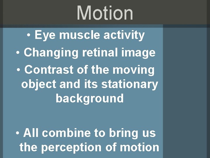 Motion • Eye muscle activity • Changing retinal image • Contrast of the moving