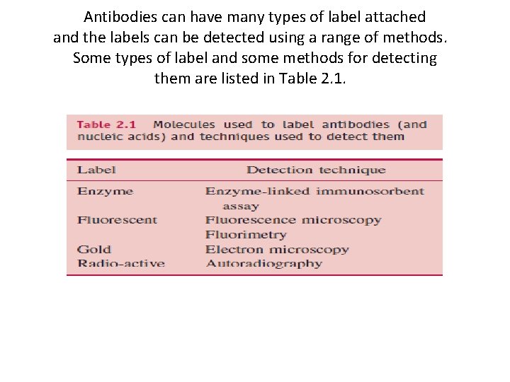 Antibodies can have many types of label attached and the labels can be detected Antibodies can have many types of label attached and the labels can be detected