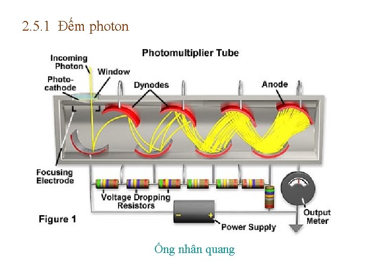 2. 5. 1 Đếm photon Ống nhân quang 