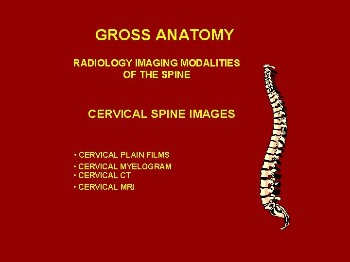 GROSS ANATOMY RADIOLOGY IMAGING MODALITIES OF THE SPINE CERVICAL SPINE IMAGES • CERVICAL PLAIN