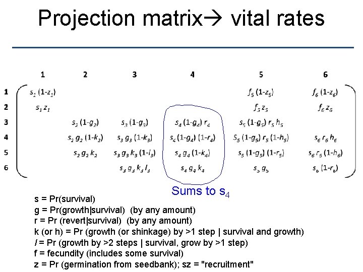Projection matrix vital rates Sums to s 4 s = Pr(survival) g = Pr(growth|survival)