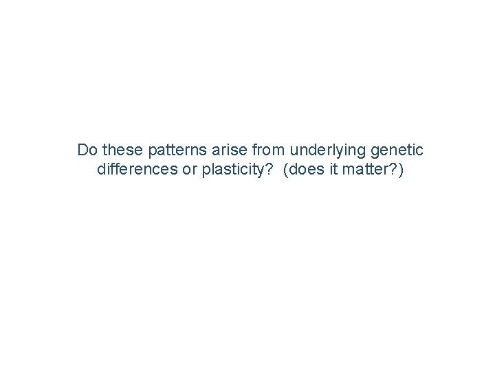 Do these patterns arise from underlying genetic differences or plasticity? (does it matter? )
