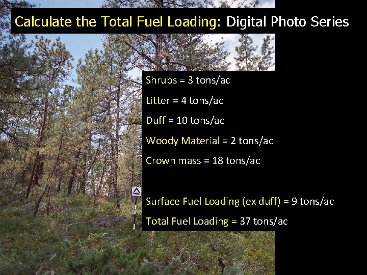 Calculate the Total Fuel Loading: Digital Photo Series Shrubs = 3 tons/ac Litter =