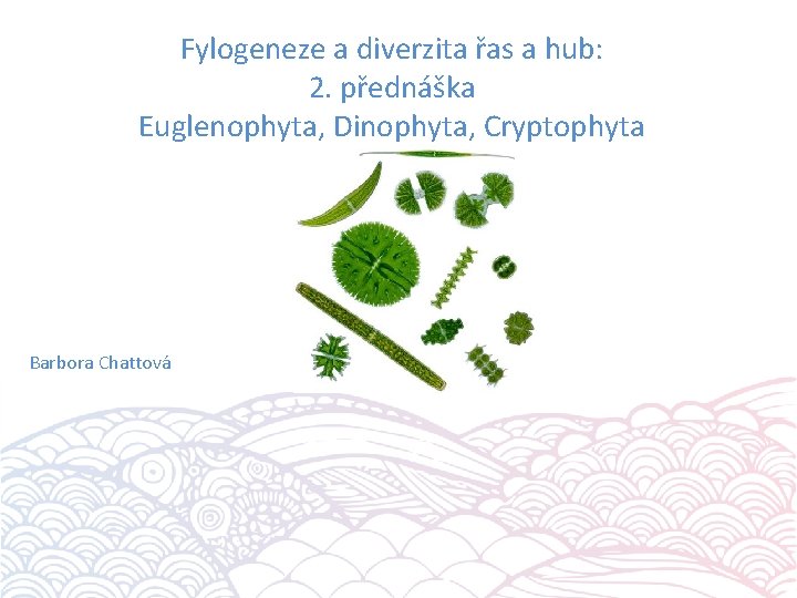 Fylogeneze a diverzita řas a hub: 2. přednáška Euglenophyta, Dinophyta, Cryptophyta Barbora Chattová 