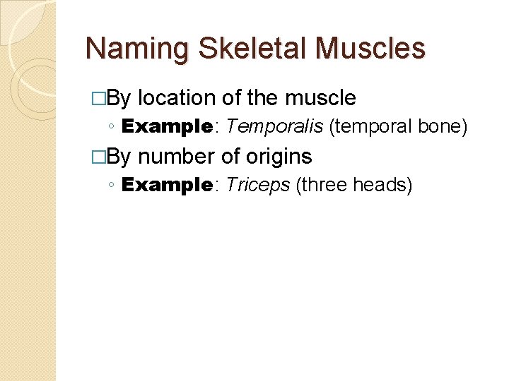 Naming Skeletal Muscles �By location of the muscle ◦ Example: Temporalis (temporal bone) �By