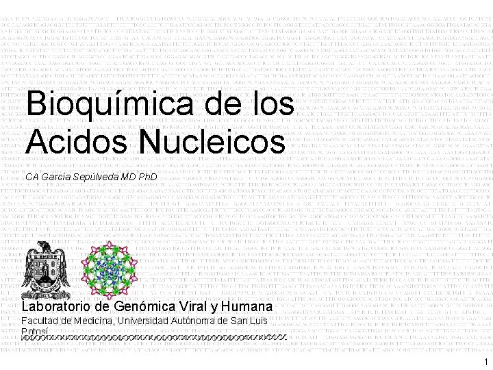 Bioquímica de los Acidos Nucleicos CA García Sepúlveda MD Ph. D Laboratorio de Genómica