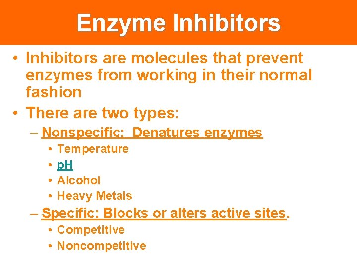 Enzyme Inhibitors • Inhibitors are molecules that prevent enzymes from working in their normal