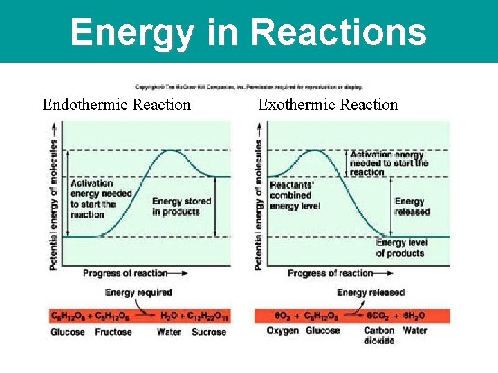 Energy in Reactions Endothermic Reaction Exothermic Reaction 