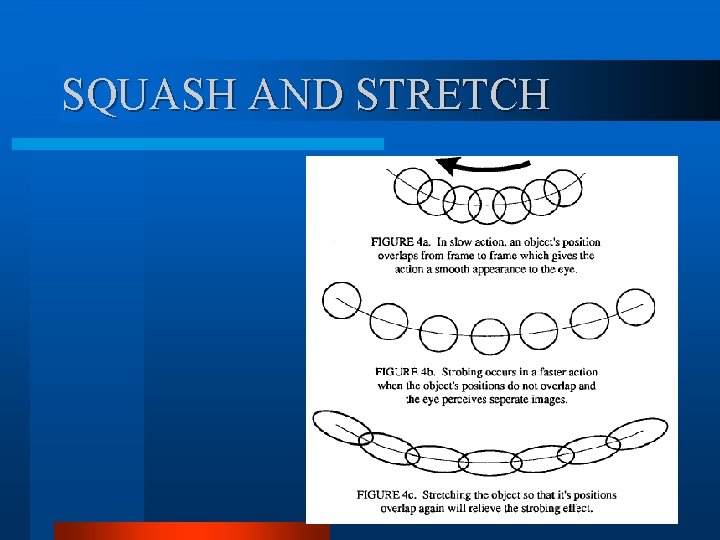 SQUASH AND STRETCH SQUASH AND STRETCH