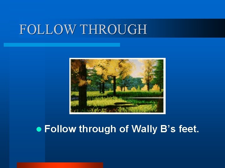 FOLLOW THROUGH l Follow through of Wally B’s feet. FOLLOW THROUGH l Follow through of Wally B’s feet.