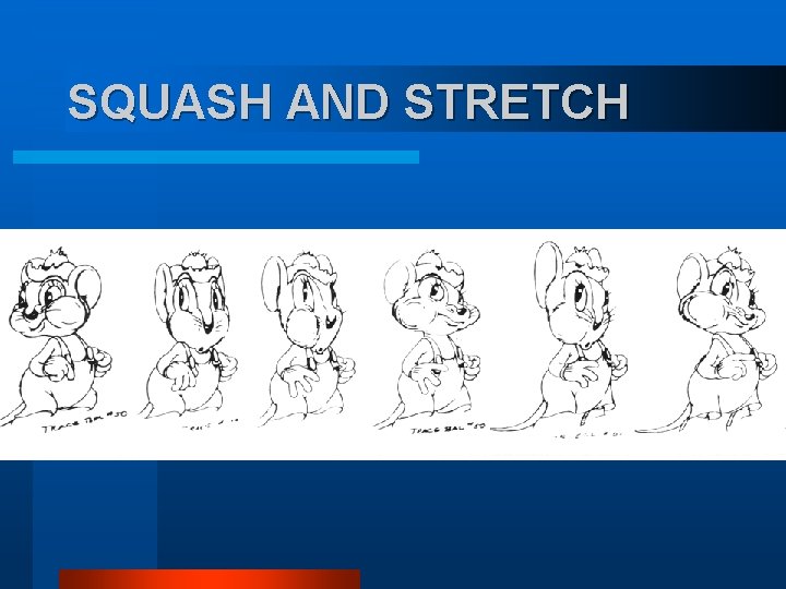 SQUASH AND STRETCH SQUASH AND STRETCH