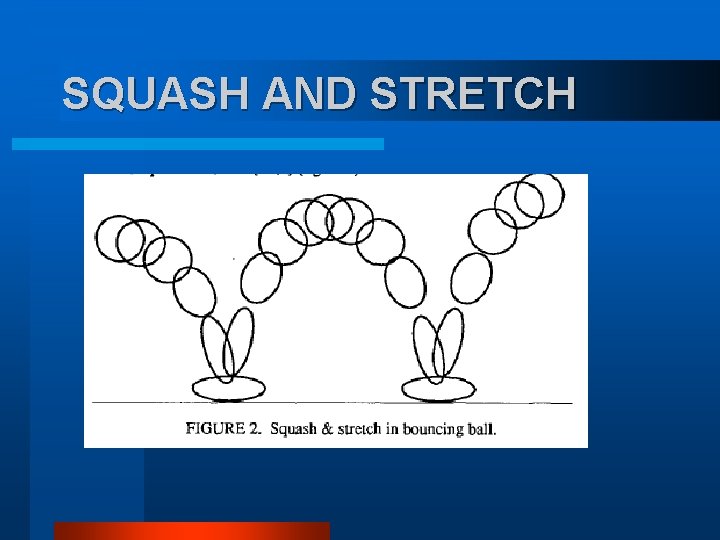 SQUASH AND STRETCH SQUASH AND STRETCH
