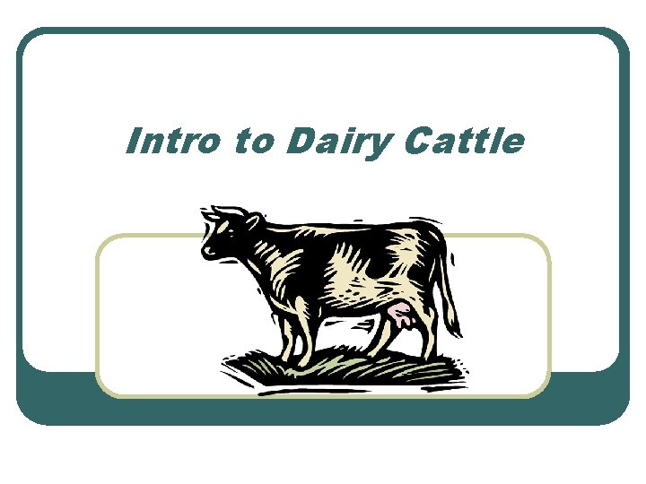 Intro to Dairy Cattle 