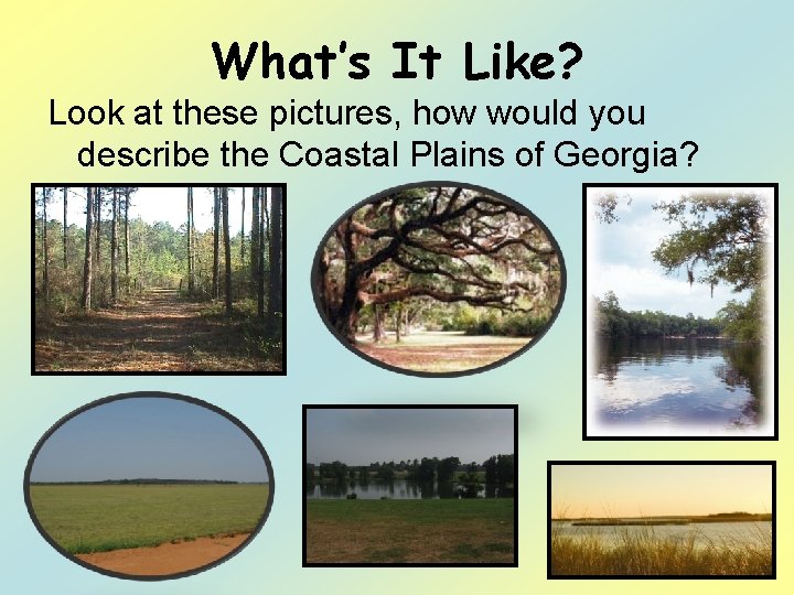 What’s It Like? Look at these pictures, how would you describe the Coastal Plains
