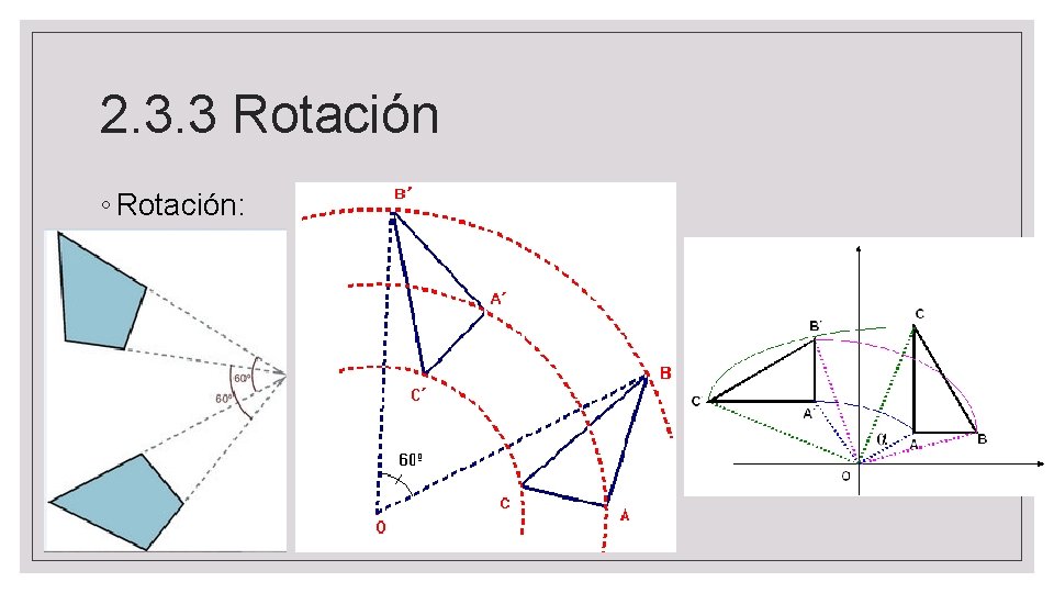 2. 3. 3 Rotación ◦ Rotación: 