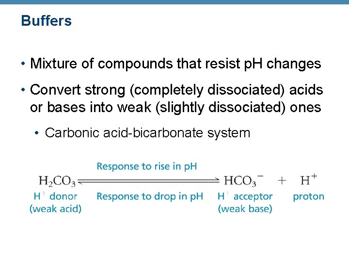 Buffers • Mixture of compounds that resist p. H changes • Convert strong (completely