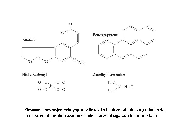 Kimyasal karsinojenlerin yapısı: Aflotoksin fıstık ve tahılda oluşan küflerde; benzopren, dimetilnitrozamin ve nikel karbonil