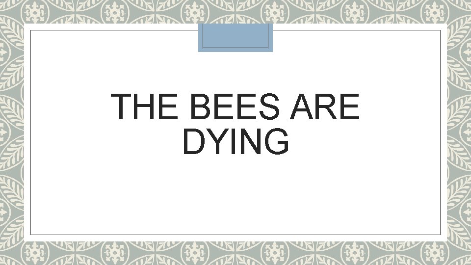 THE BEES ARE DYING 
