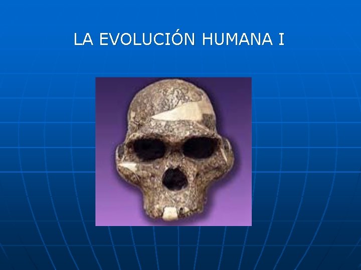 LA EVOLUCIÓN HUMANA I 