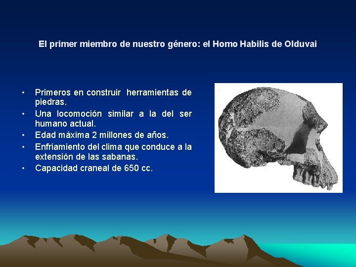 El primer miembro de nuestro género: el Homo Habilis de Olduvai • • •