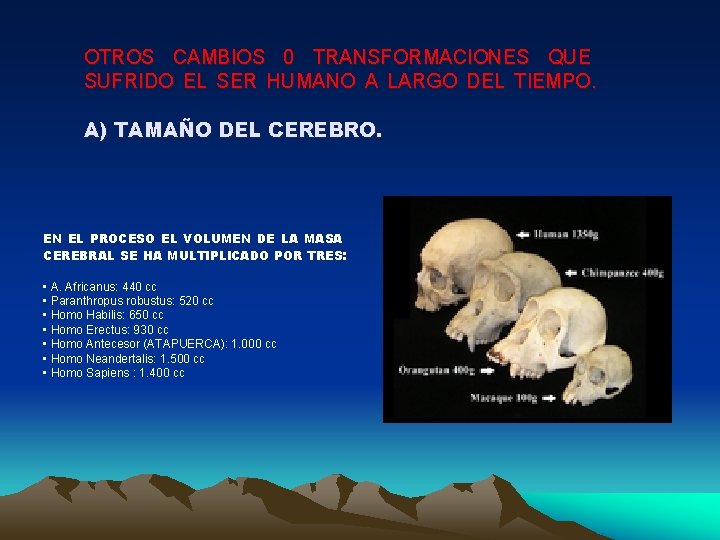 OTROS CAMBIOS 0 TRANSFORMACIONES QUE SUFRIDO EL SER HUMANO A LARGO DEL TIEMPO. A)