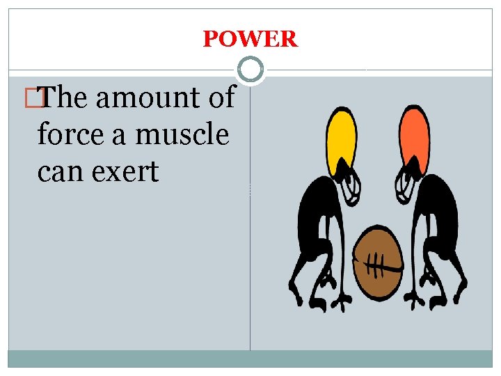 POWER �The amount of force a muscle can exert 