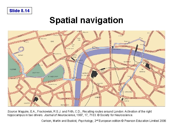 Slide 8. 14 Spatial navigation Source: Maguire, E. A. , Frackowiak, R. S. J.