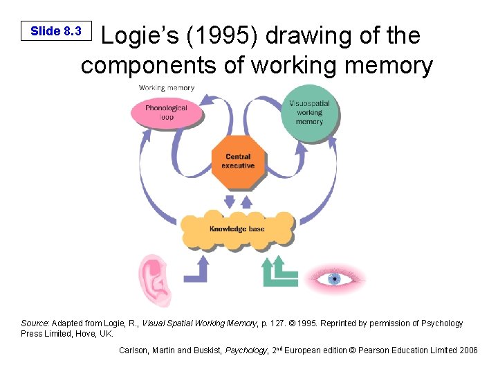 Logie’s (1995) drawing of the components of working memory Slide 8. 3 Source: Adapted