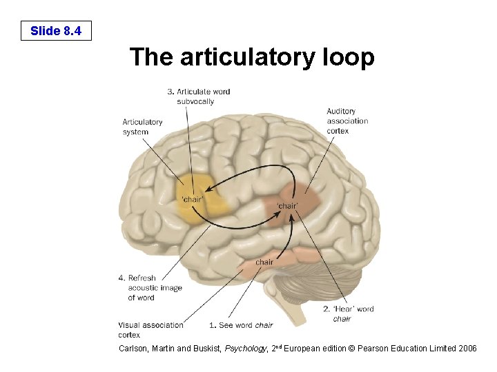 Slide 8. 4 The articulatory loop Carlson, Martin and Buskist, Psychology, 2 nd European