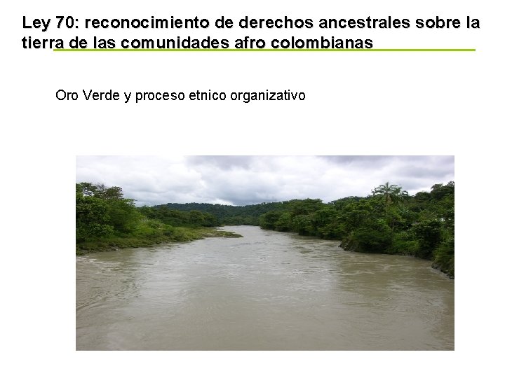 Ley 70: reconocimiento de derechos ancestrales sobre la tierra de las comunidades afro colombianas