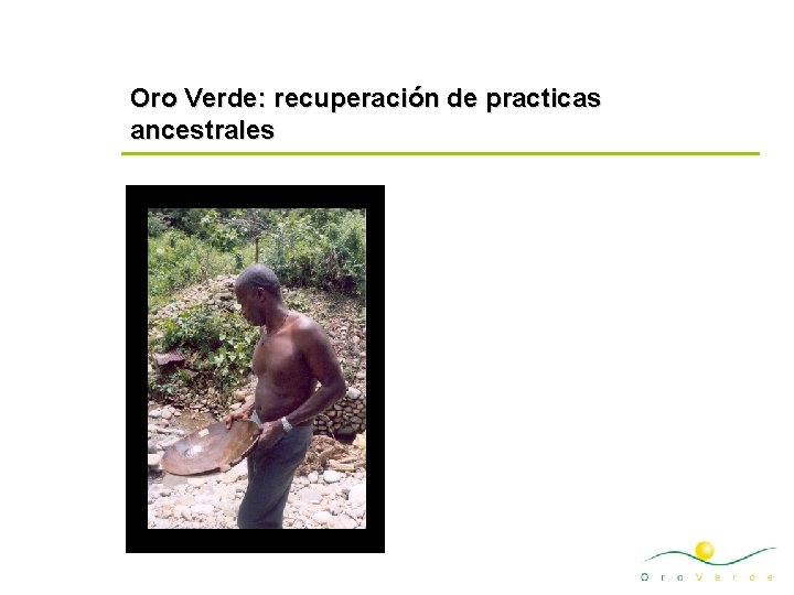 Oro Verde: recuperación de practicas ancestrales 