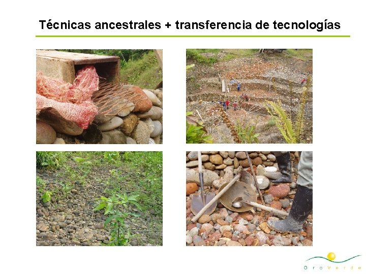 Técnicas ancestrales + transferencia de tecnologías 