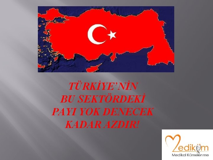 TÜRKİYE’NİN BU SEKTÖRDEKİ PAYI YOK DENECEK KADAR AZDIR! 