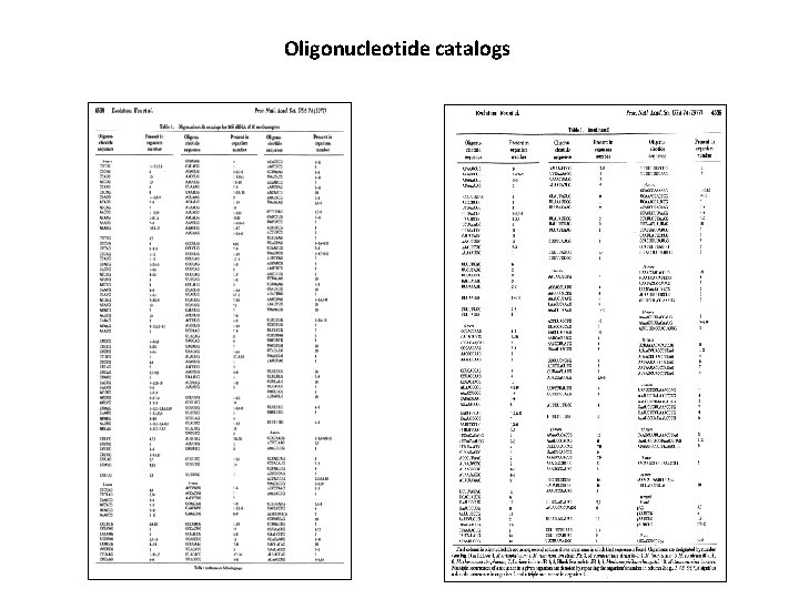 Oligonucleotide catalogs 