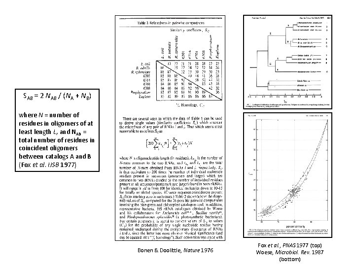 SAB = 2 NAB / (NA + NB) where N = number of residues