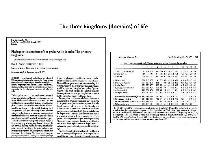 The three kingdoms (domains) of life 